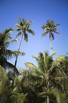 ***  Tingum Village Hotel Dunmore Town Bahamy